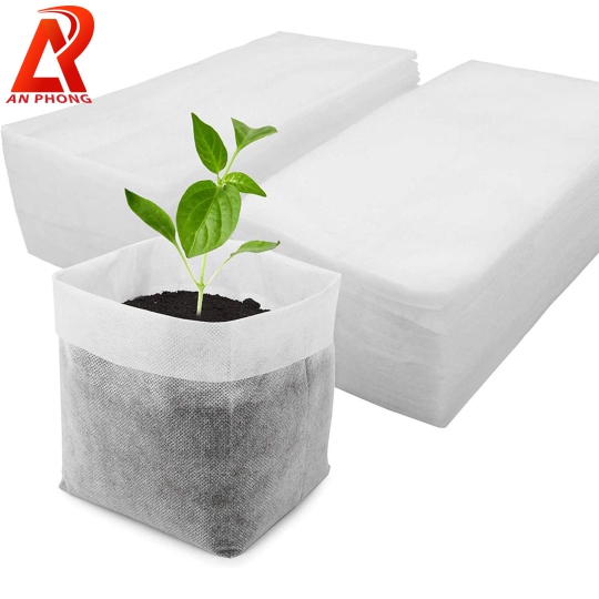 Túi vườn ươm không dệt