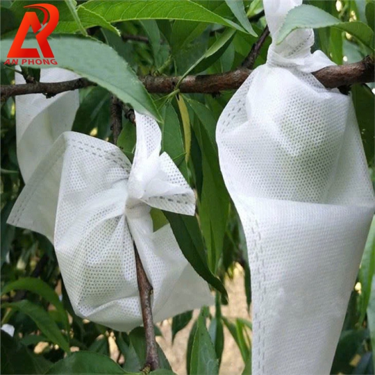 Túi vải bao trái cây